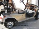 golf cart fender flair molding in Gold, Chrome or Black order today golfcargraphics.com