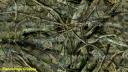 Fishouflage Crappie camouflage vinyl film, just peel & stick apply… do it yourself wraps from www.Powersportswraps.com