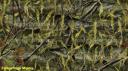 fishouflage camo vinyl film, just peel & stick apply this film to your car, boat, truck atv or more.. www.Powersportswraps.com