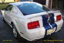 2011 Mustang Racing Stripes, Roush style Installed by Sharper Images Graphics Erie, PA 814-838-6377