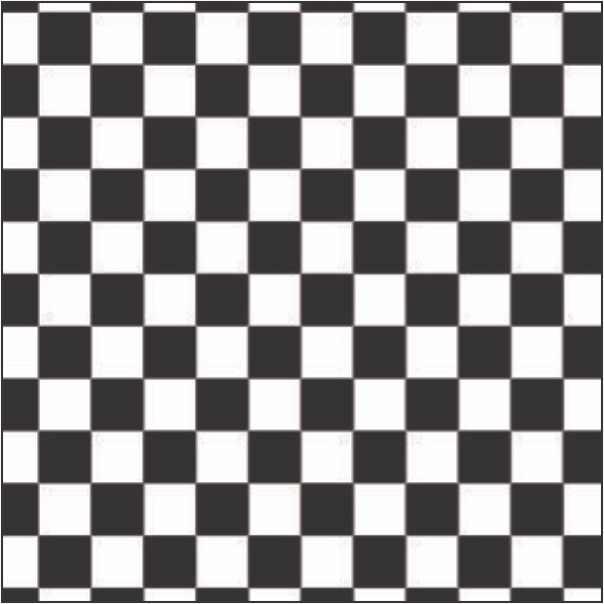 Straight Checker Flag RCG 302 SCF