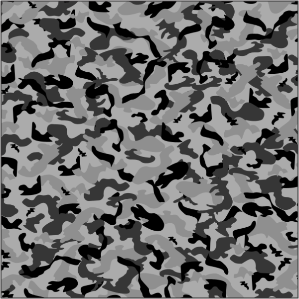 Gray Midnight Micro CAM 230 GMA