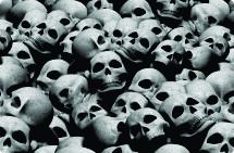 Skulls & Bones