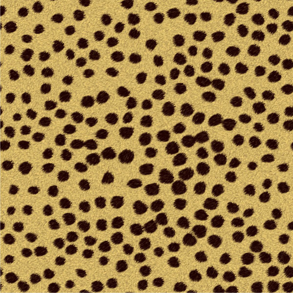 AMS-181-CTA cheetah