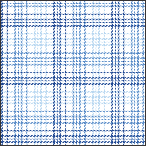 Blue Plaid CON 509 PLD