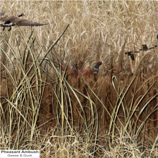 Pheasant Ambush