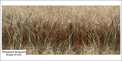 Pheasant Ambush - Image 6