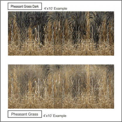 Pheasant Grass - Image 2